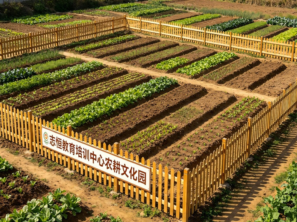 滨州叛逆孩子改变学校怎么联系？志恒教育培训中心全方位解析
